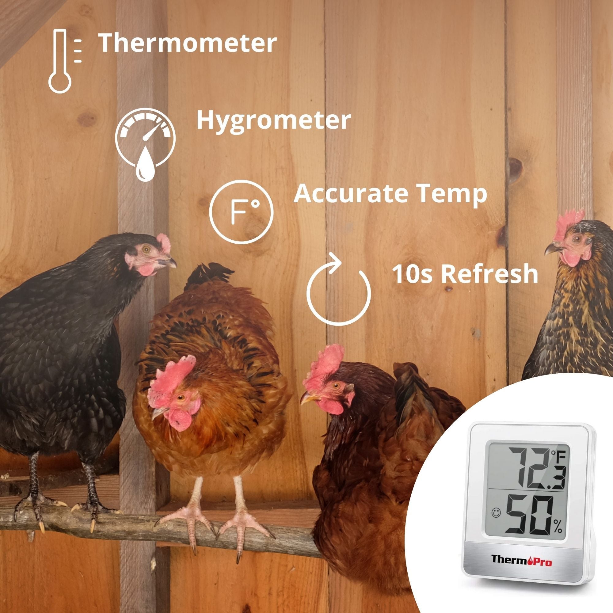 ThermoPro TP49 temperature and humidity monitor for egg incubators and chick brooders.