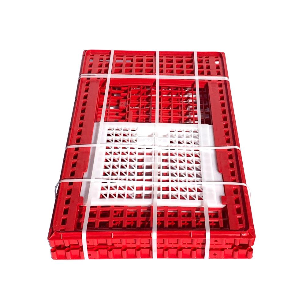 Hatching Time Transport Coop (Large) 3 Door - Turkey