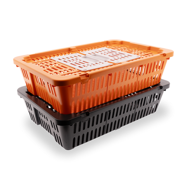 Transport Coop for Quail & Pigeons in orange, featuring a ventilated plastic design.