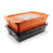 Transport Coop for Quail & Pigeons in orange, featuring a ventilated plastic design.