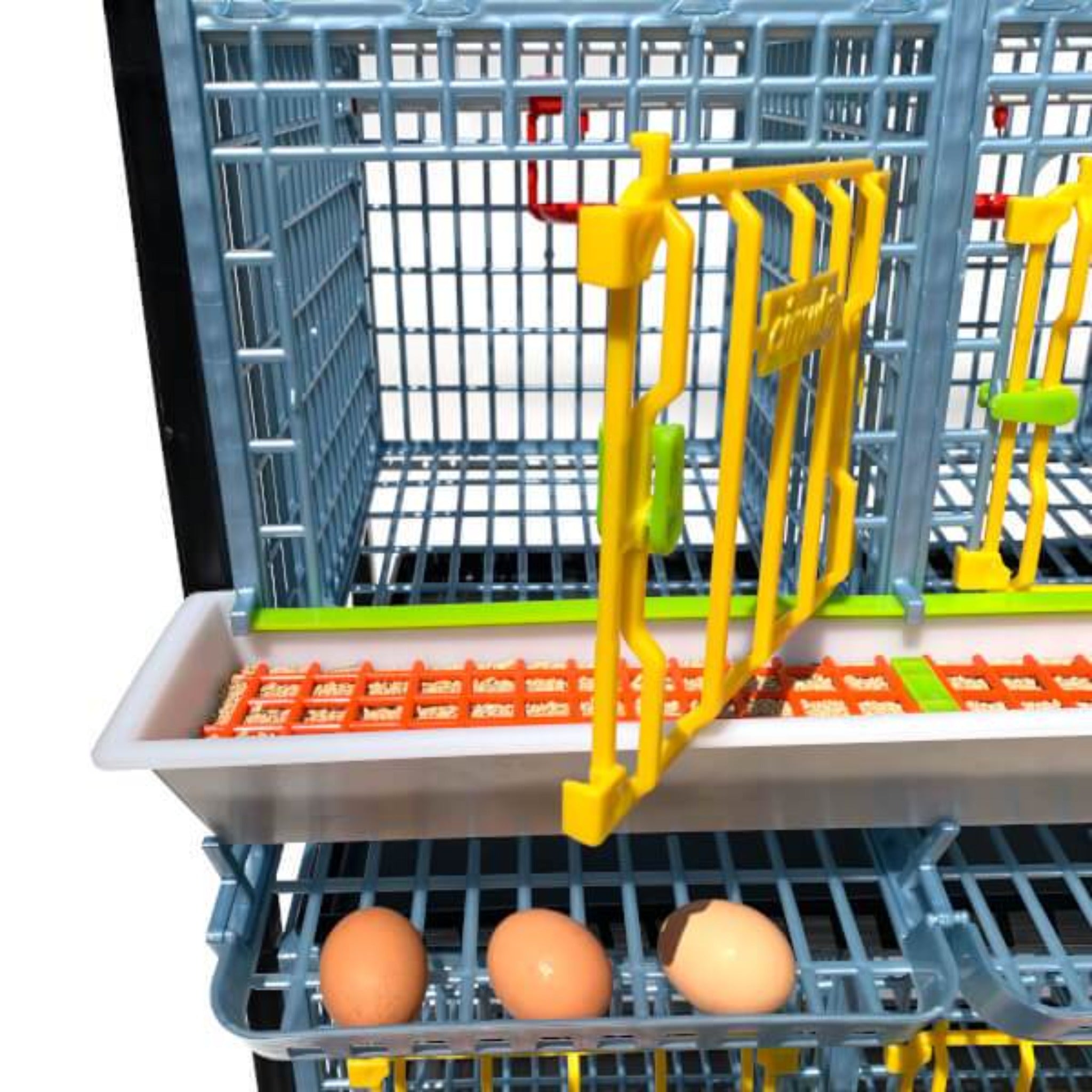 Two-layer poultry breeding cage with removable manure trays
