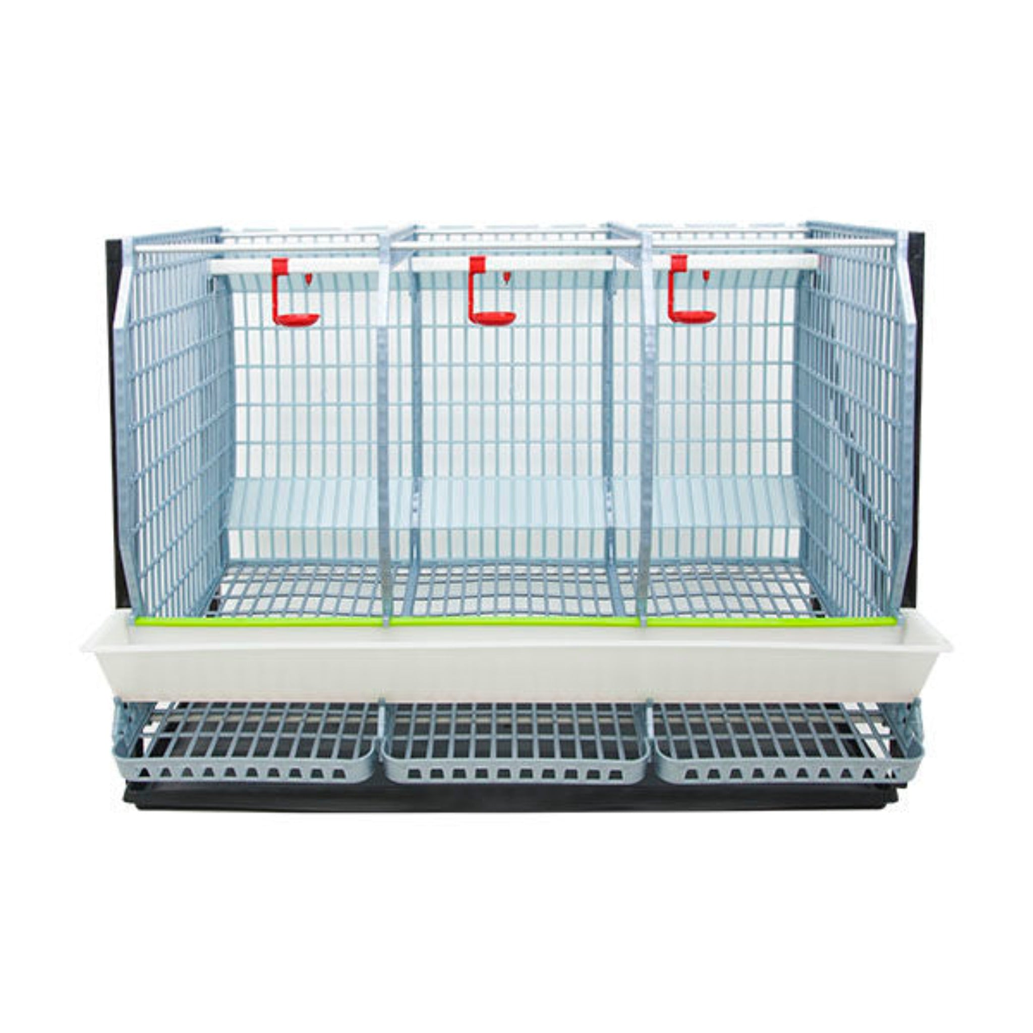 Two-tier poultry breeding cage with roll-out egg collection trays and removable manure trays.