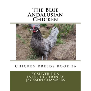 The Blue Andalusian Chicken: Chicken Breeds Book 36