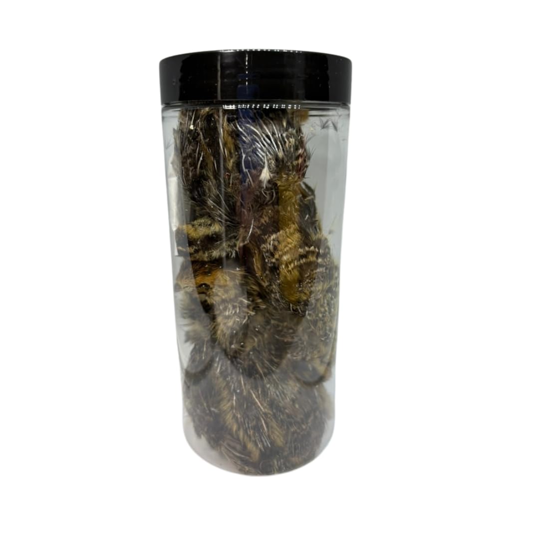 Undique Bird Dog Training Quail inside packaging