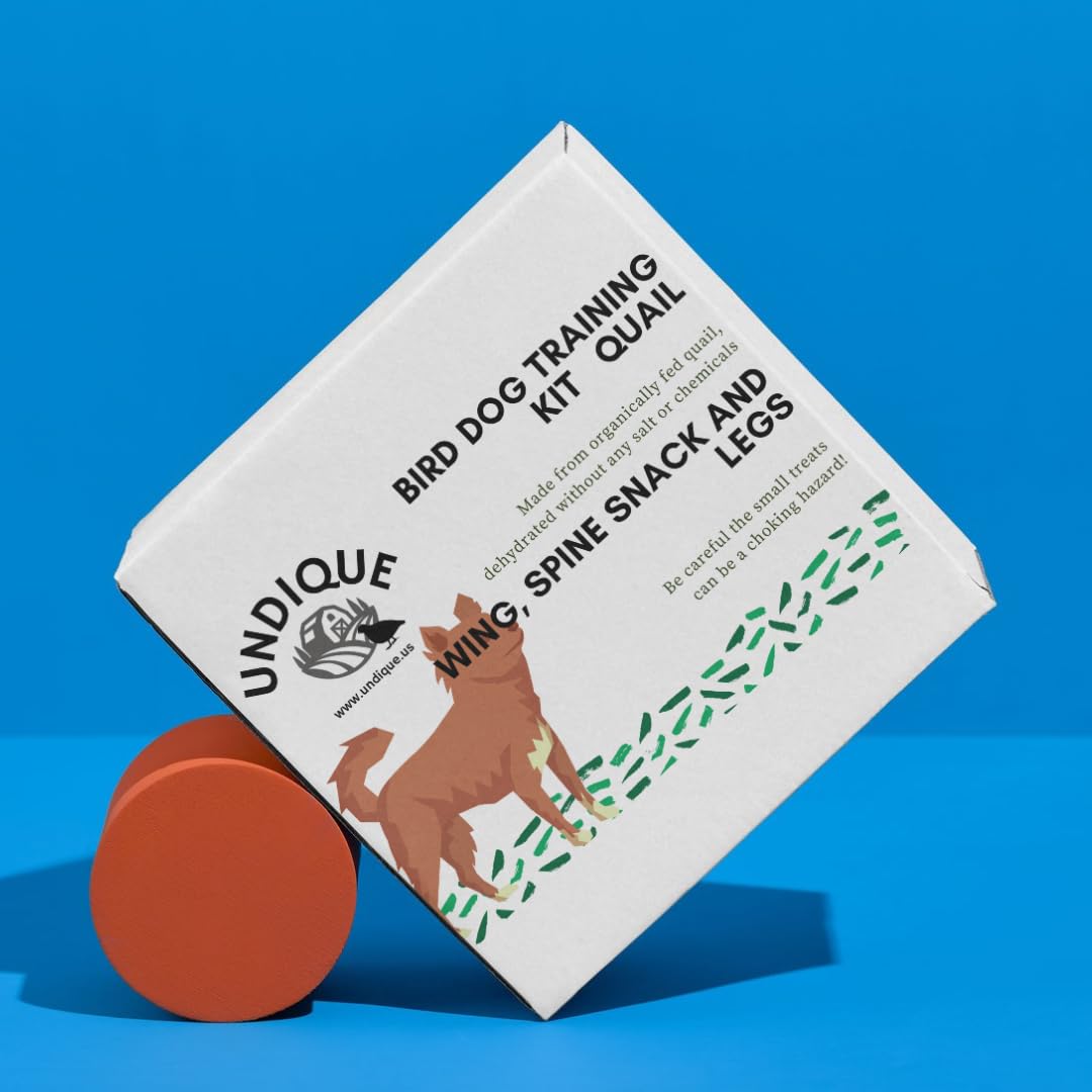 Undique Bird Training Dog Kit