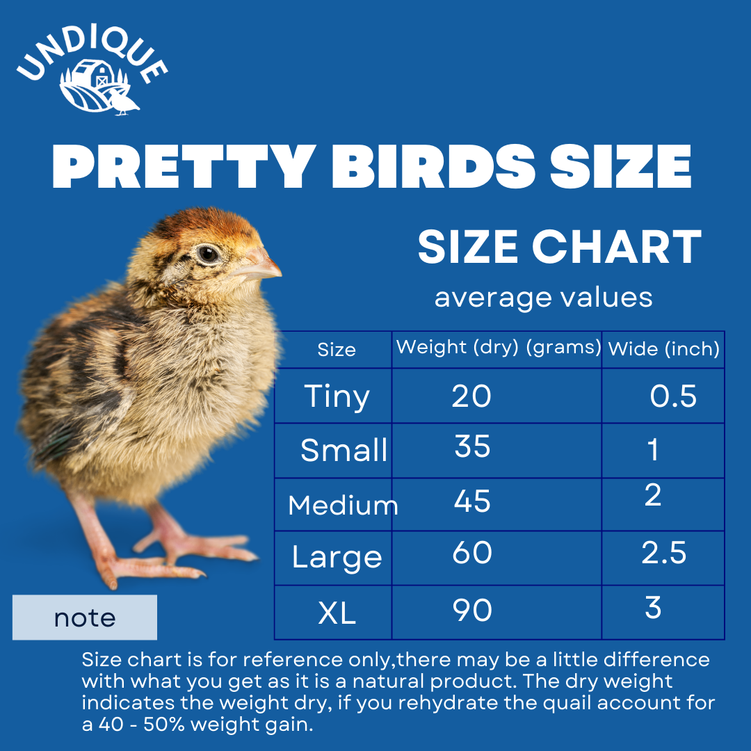 Undique Buddy's Pretty Birds Size Chart