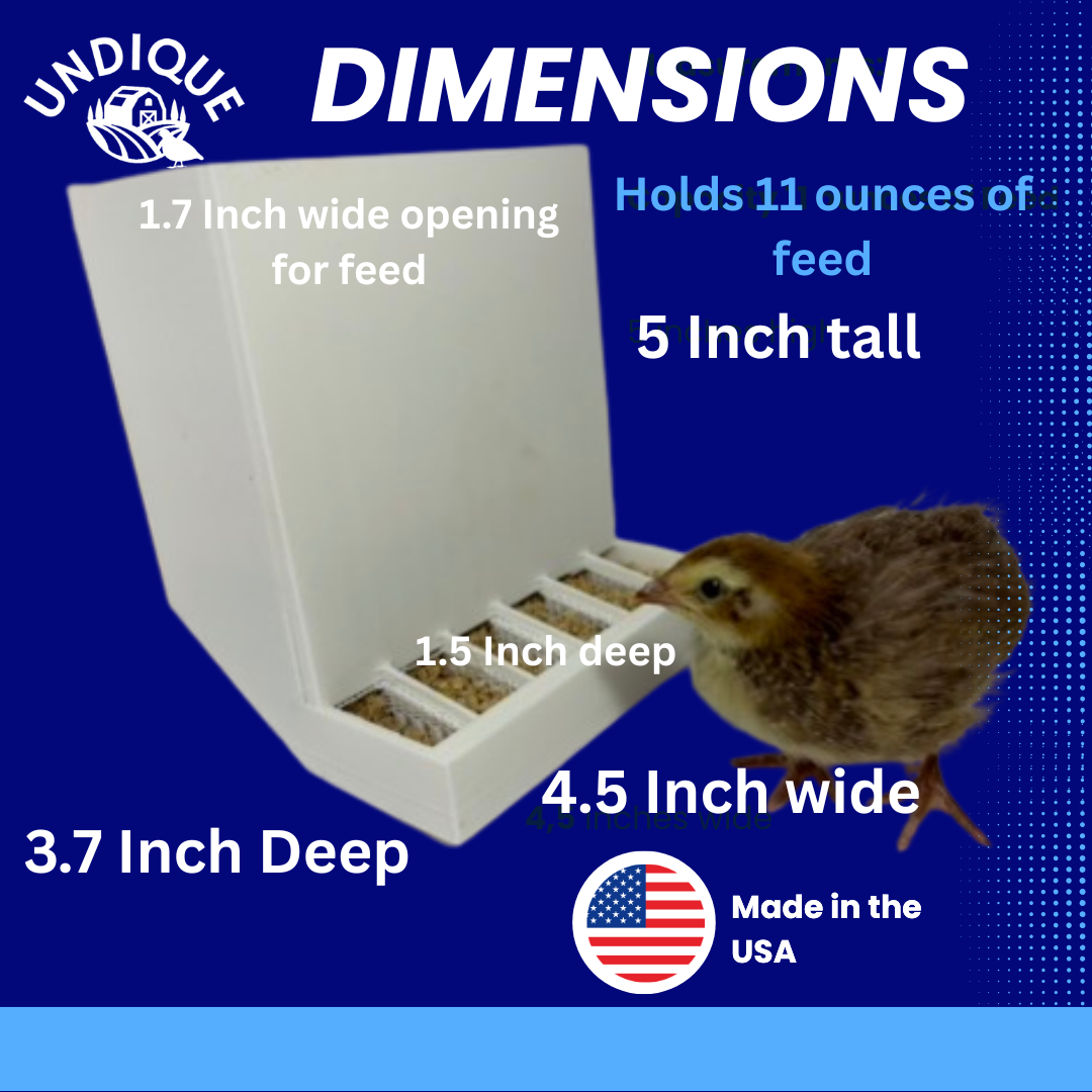 Undique Quail Feeder Dimensions