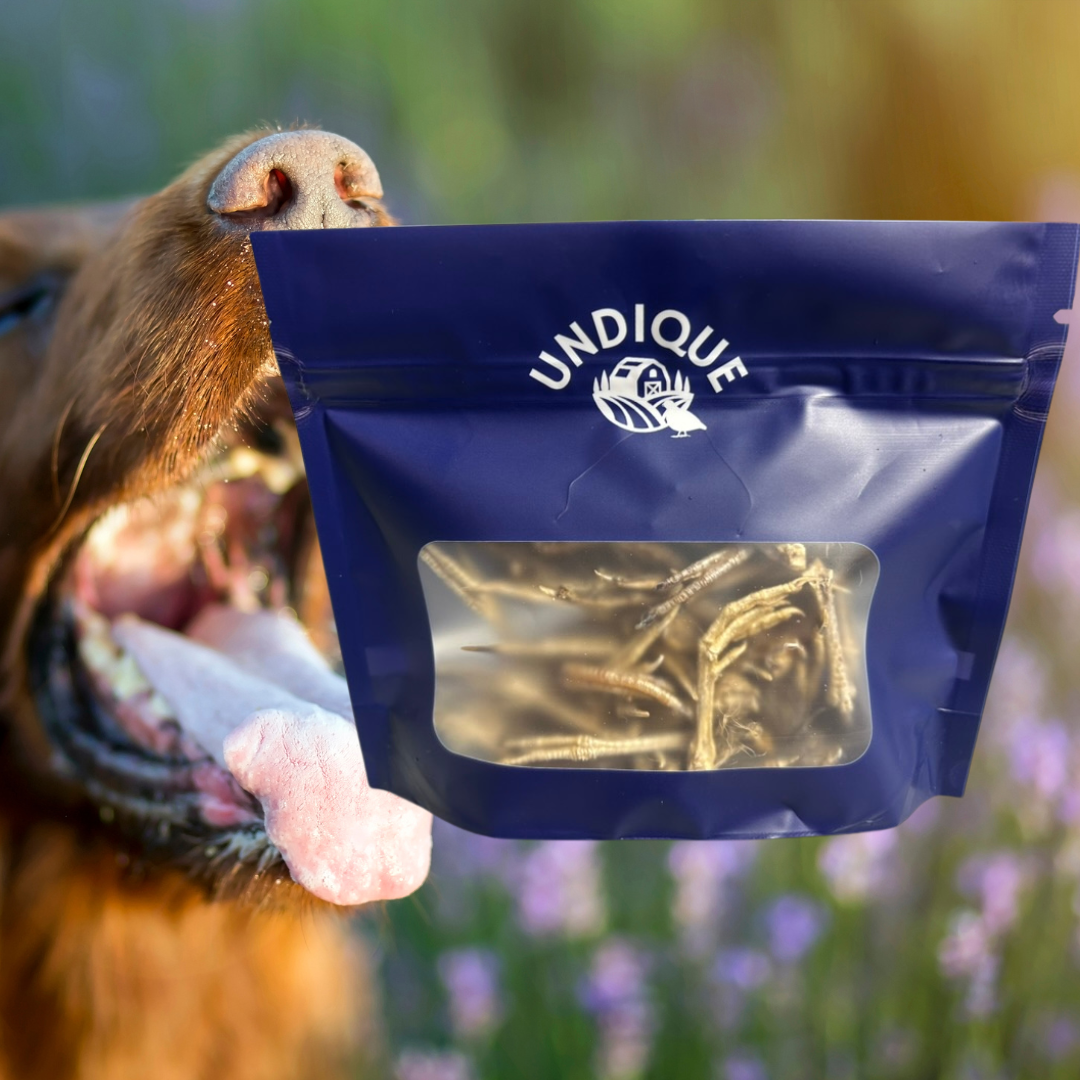 Undique Quail Feet Dog Treats