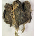 Undique Quail Whole Prey dehydrated
