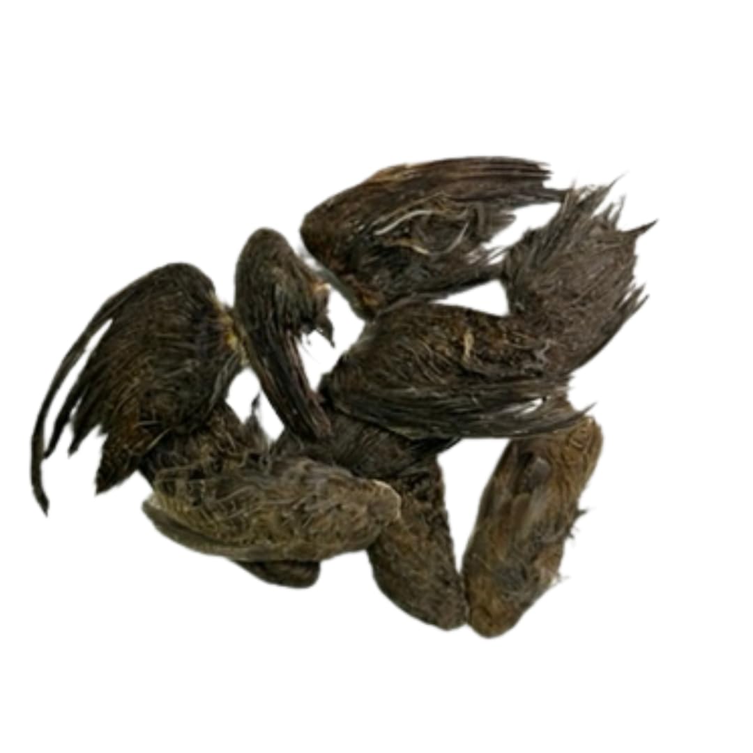 Undique Quail Wings for Dog Training
