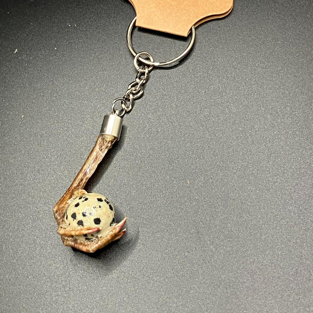 Unique Bird Accessory