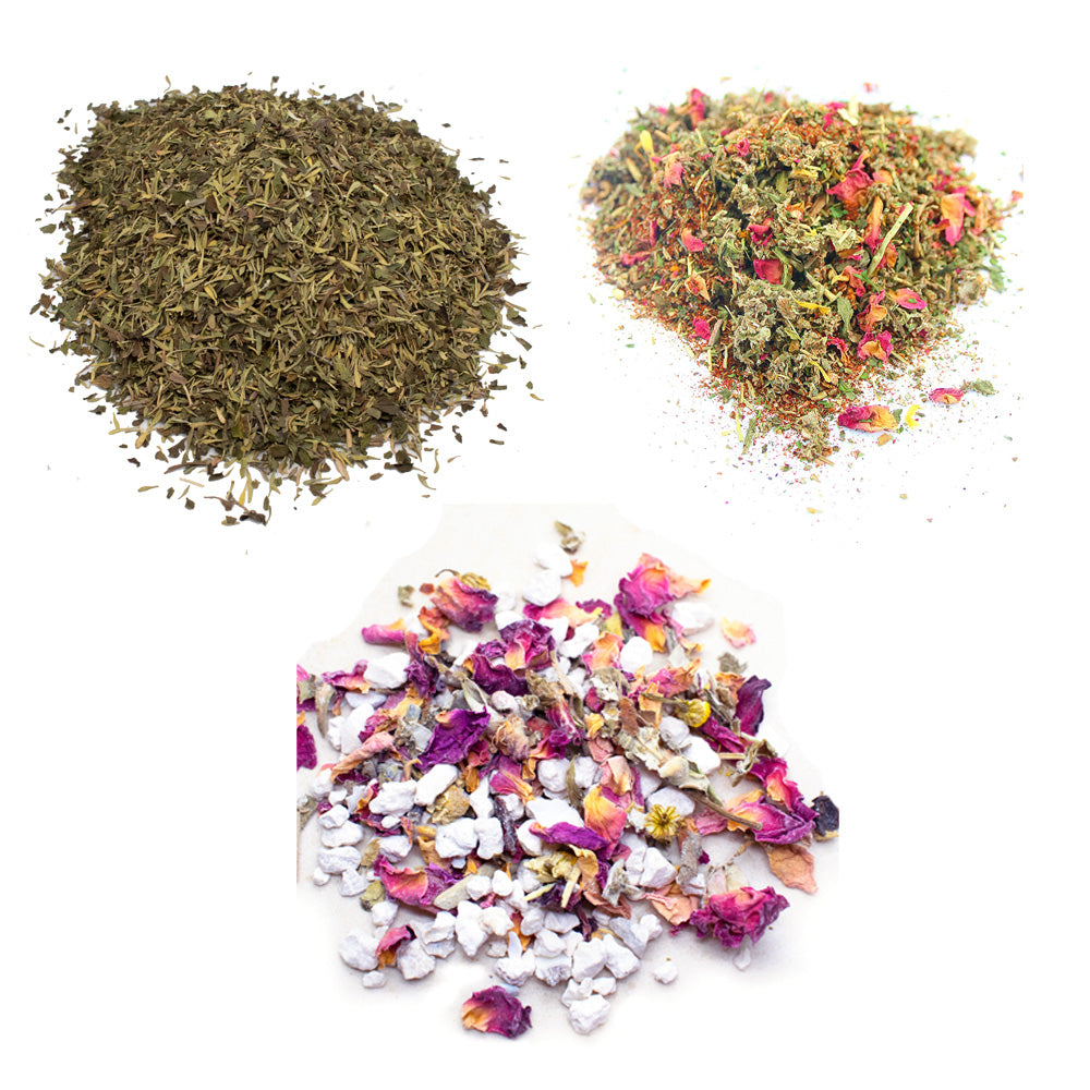 Pampered Chicken Mama WormBGone Healthy Coop Bundle : 3 Products Chickens Love! (5 pounds total)