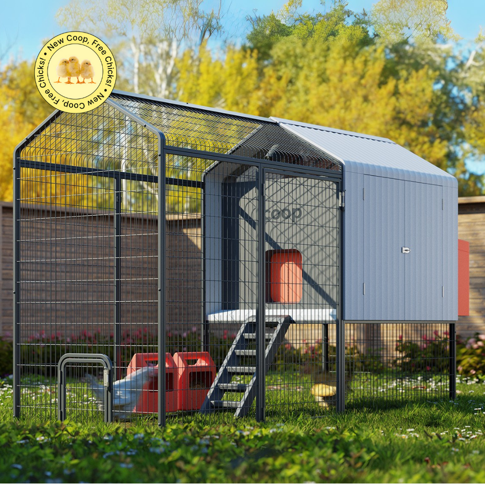 The Smart Coop Unlimited+ Modern Chicken Coop for 4-6 chickens