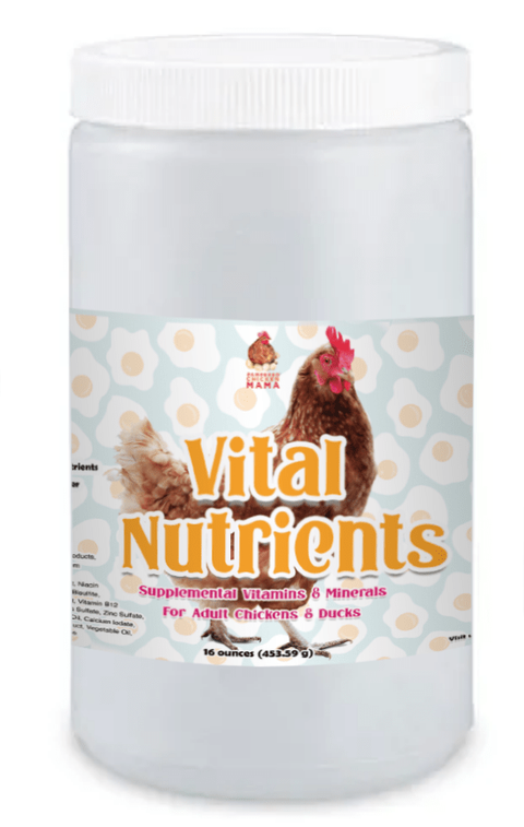 Pampered Chicken Mama Winter Support Bundle: 8 Products For A Healthy Wintertime Coop! (13 pounds total)