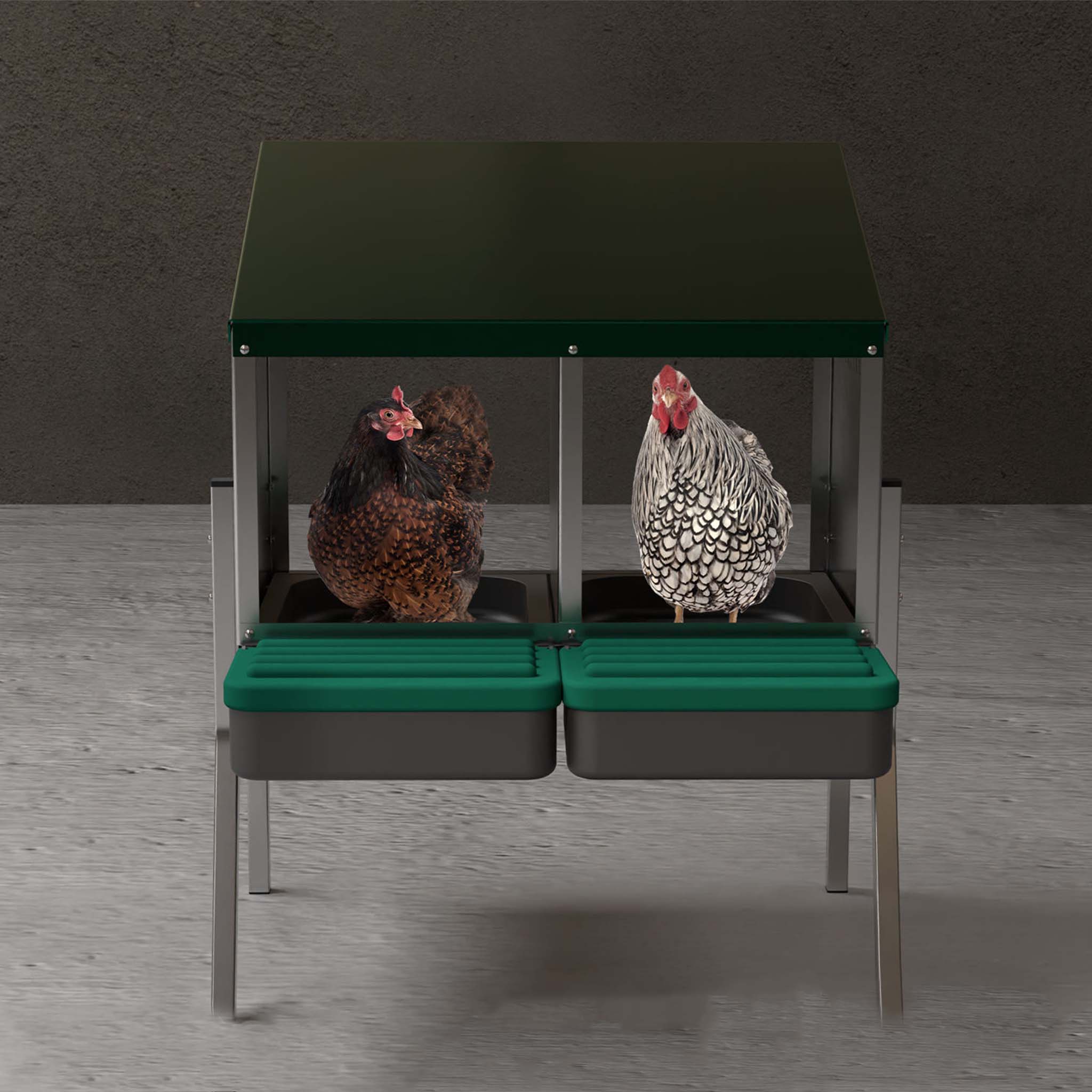 Wall-mounted galvanized steel chicken nest box with two nesting bays