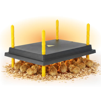 Warmzy 12" x 16" chick brooder heating plate, model HP-3040.