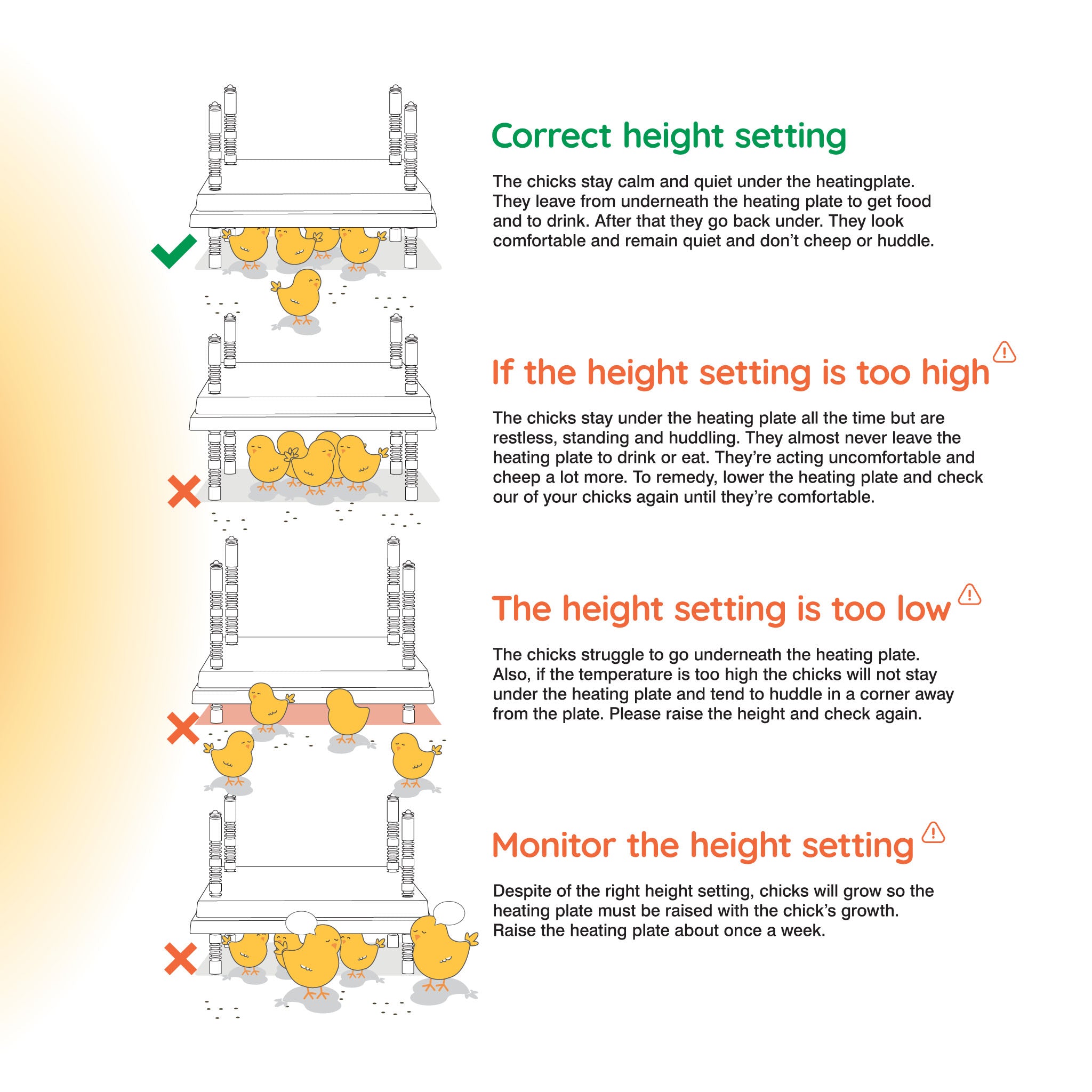 Warmzy adjustable-height heating plate for chick brooding