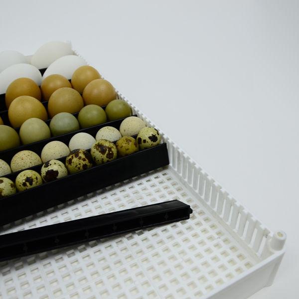Washable ABS plastic egg setter tray for quail, chicken, duck, and other bird eggs