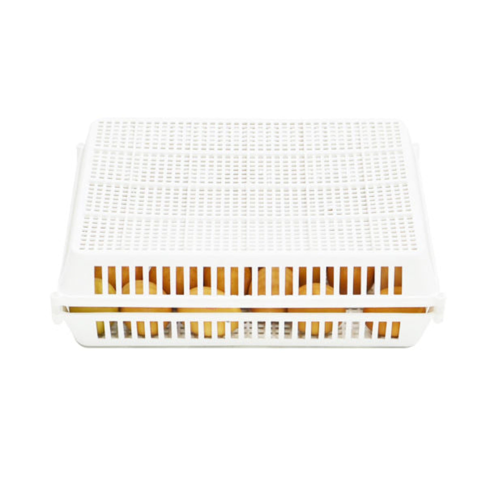 Washable Cimuka CS30 incubator egg basket and cover for compatible CT Series Incubators.