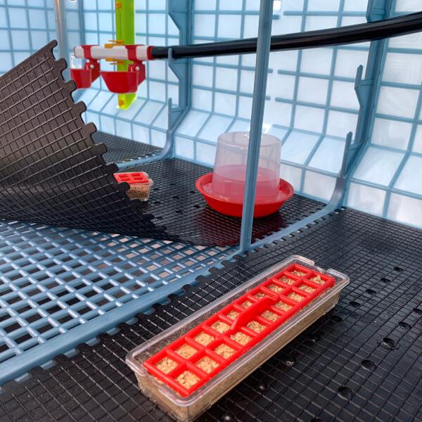 Washable chick brooder mat made from anti-bacterial material for a more hygienic brooding surface.