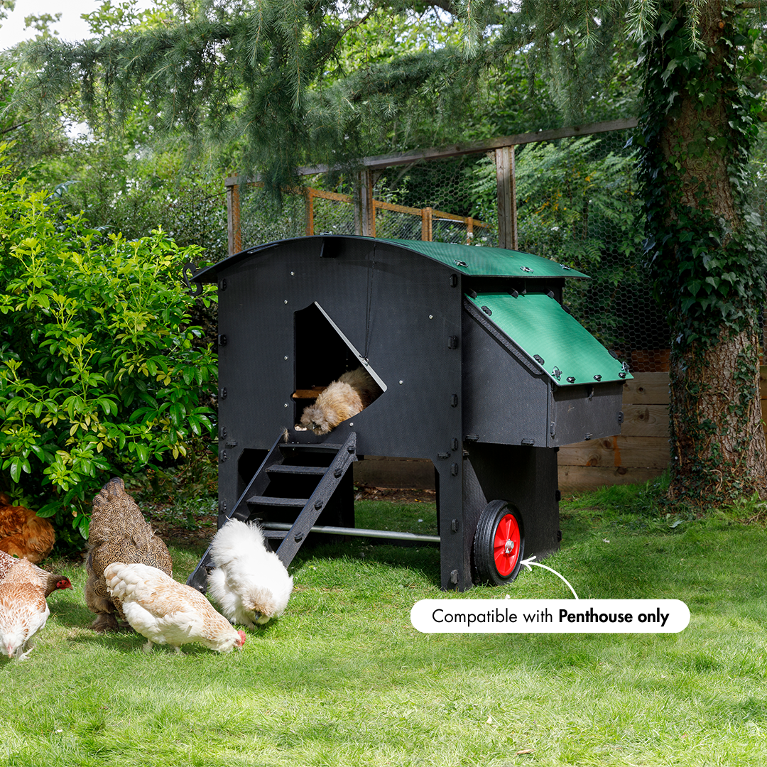 Wheels for Nestera Penthouse chicken coop