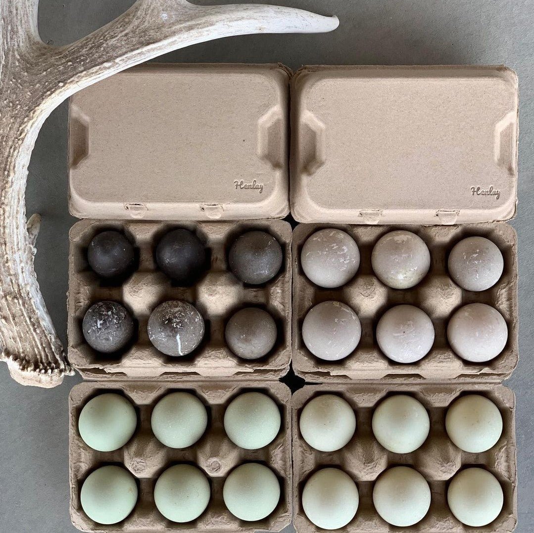 White Henlay duck egg carton with six large egg compartments