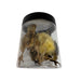Whole Quail Chick for Carnivore Pets 5 count