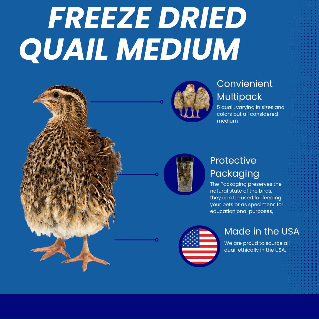 Whole Quail Chick for Carnivore Pets Product Facts