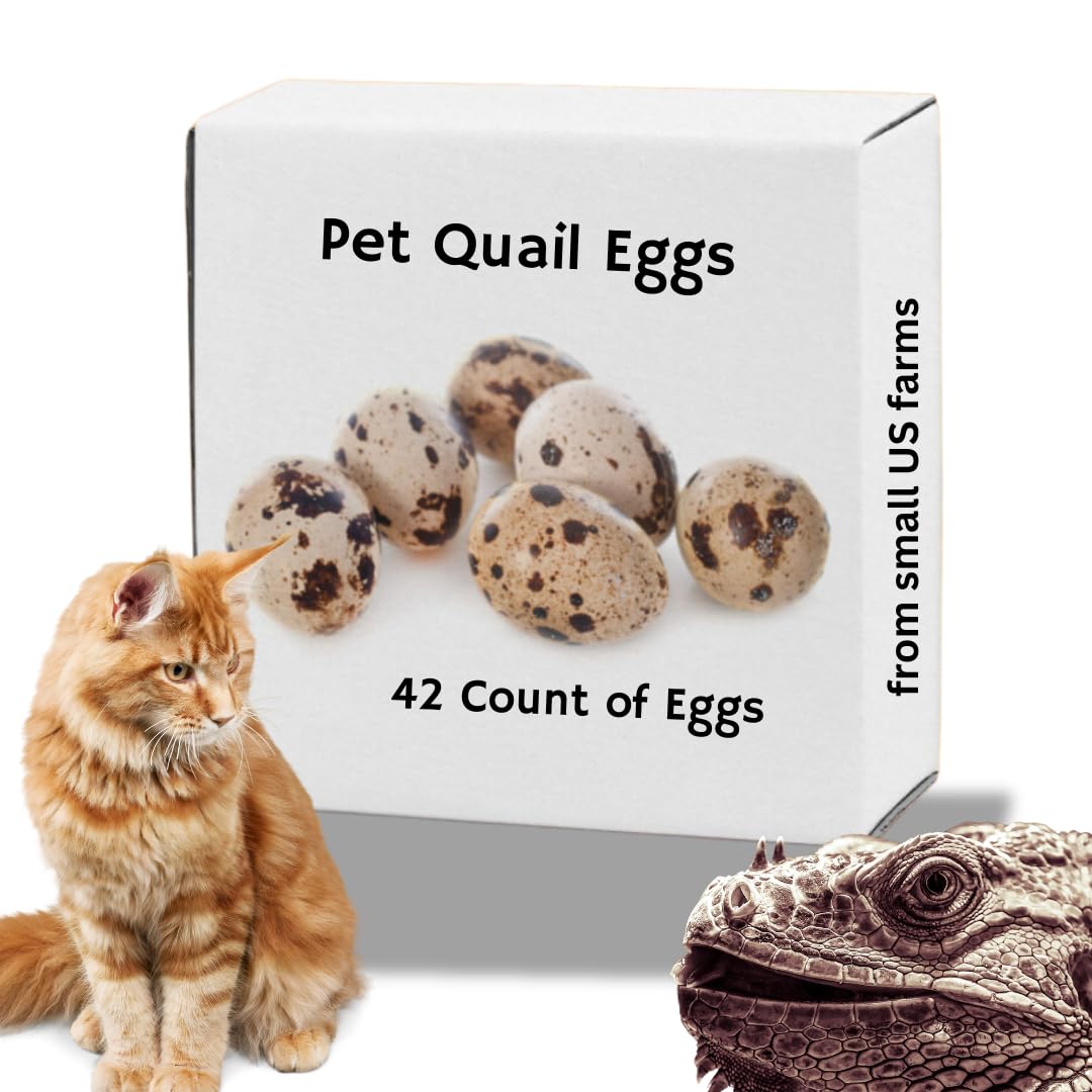 Whole Quail Eggs for Pets