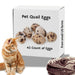 Whole Quail Eggs for Pets