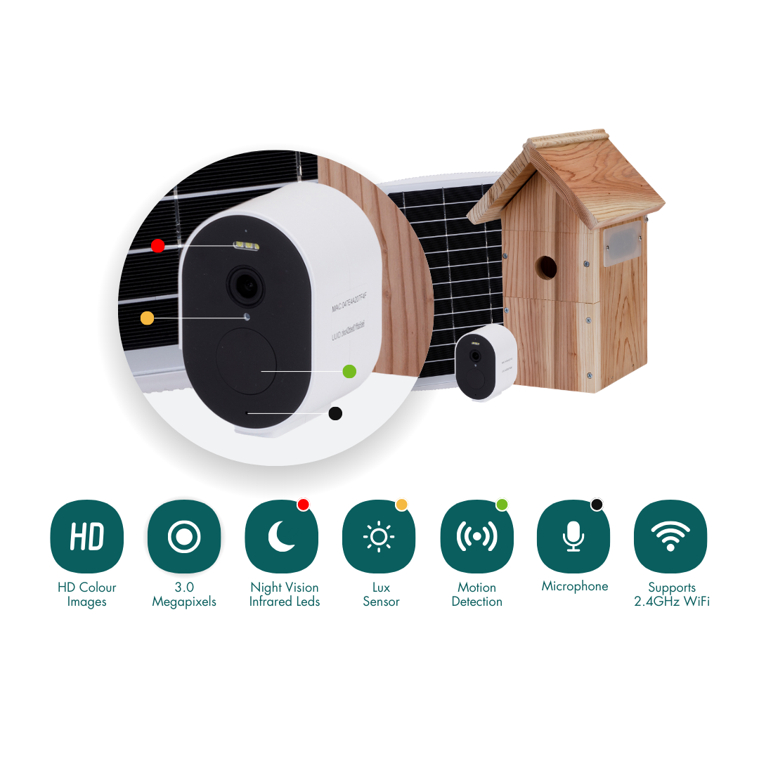WiFi bird house camera for watching nesting garden birds