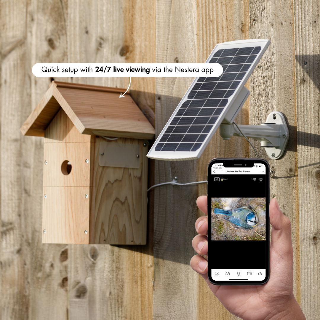 WiFi bird house camera with live viewing and audio