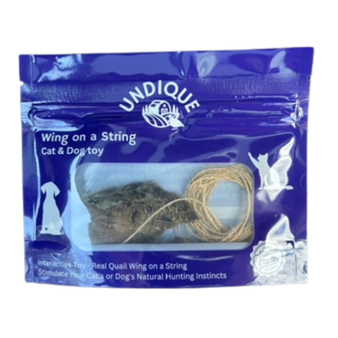 Wing on String Cat Toy Packaging