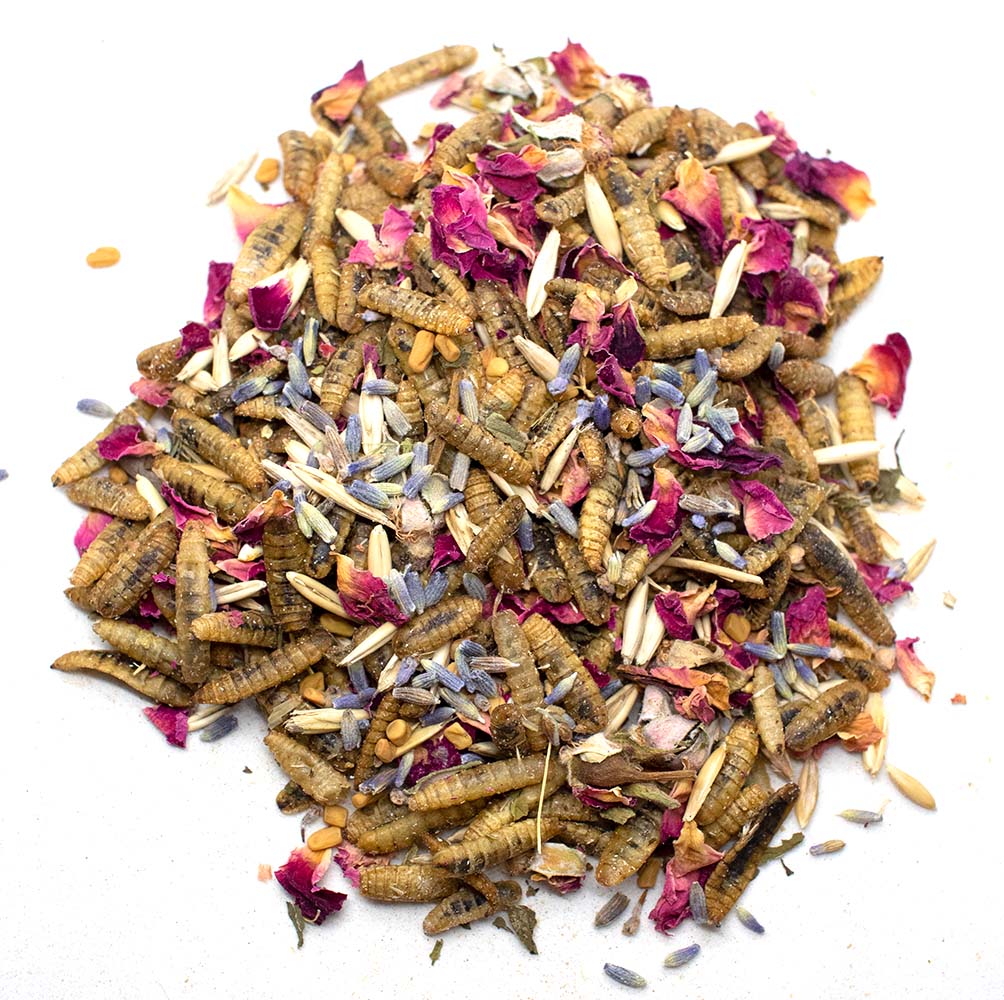 Pampered Chicken Mama Valentine's Goody Box - 7 Treats (12 pounds total!)