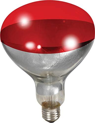 Little Giant 250 Watt Red Bulb For Brooder Lamp main image