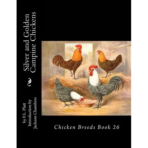Silver and Golden Campine Chickens: Chicken Breeds Book 26 - Paperback