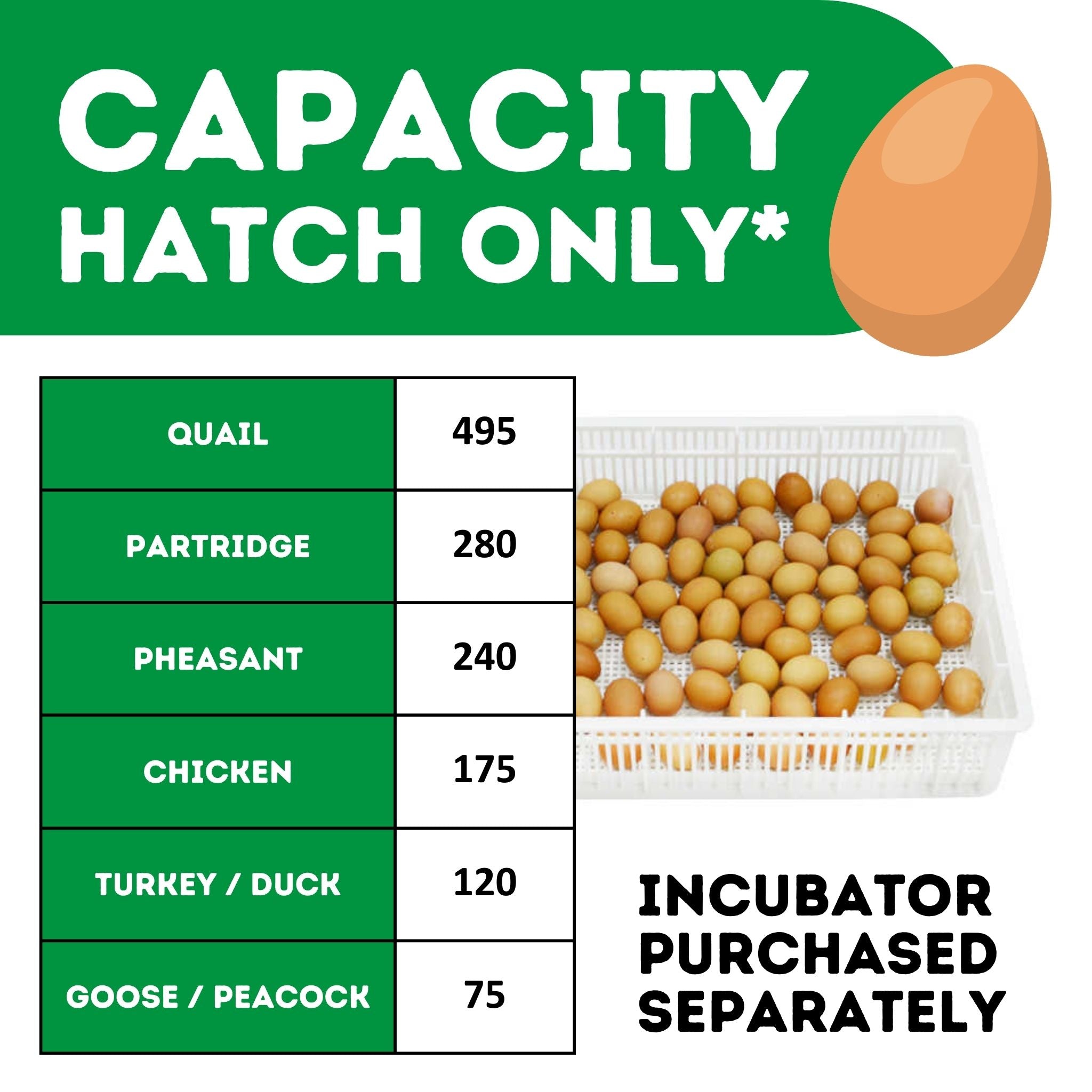 Cimuka HB175 H - Egg Incubator - Hatcher