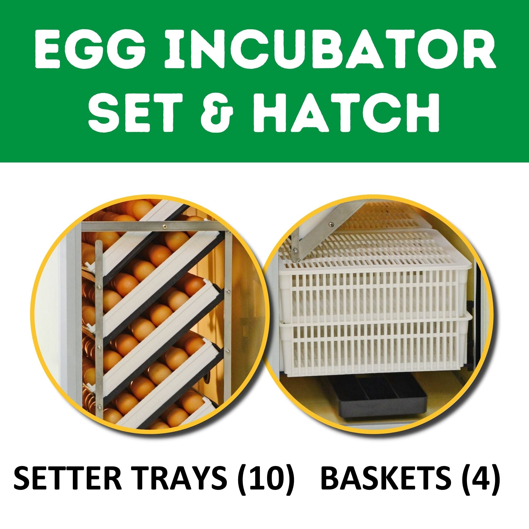 Cimuka HB350 C - Egg Incubator - Setter & Hatcher