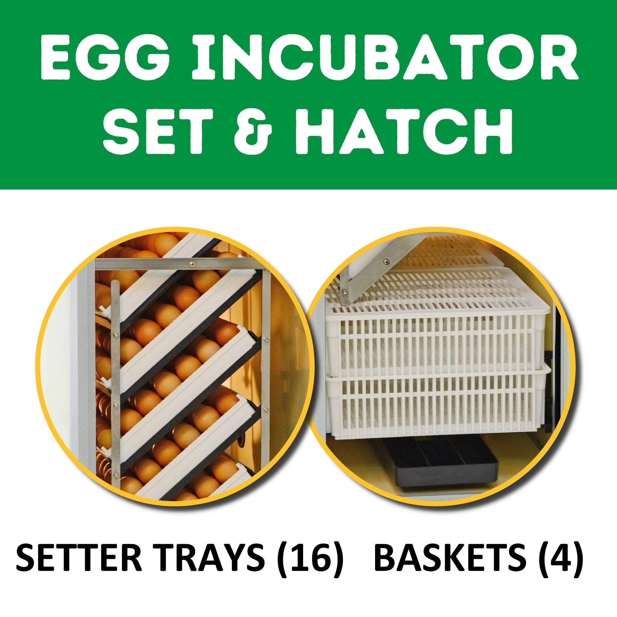 Cimuka HB700 C - Egg Incubator - Setter & Hatcher
