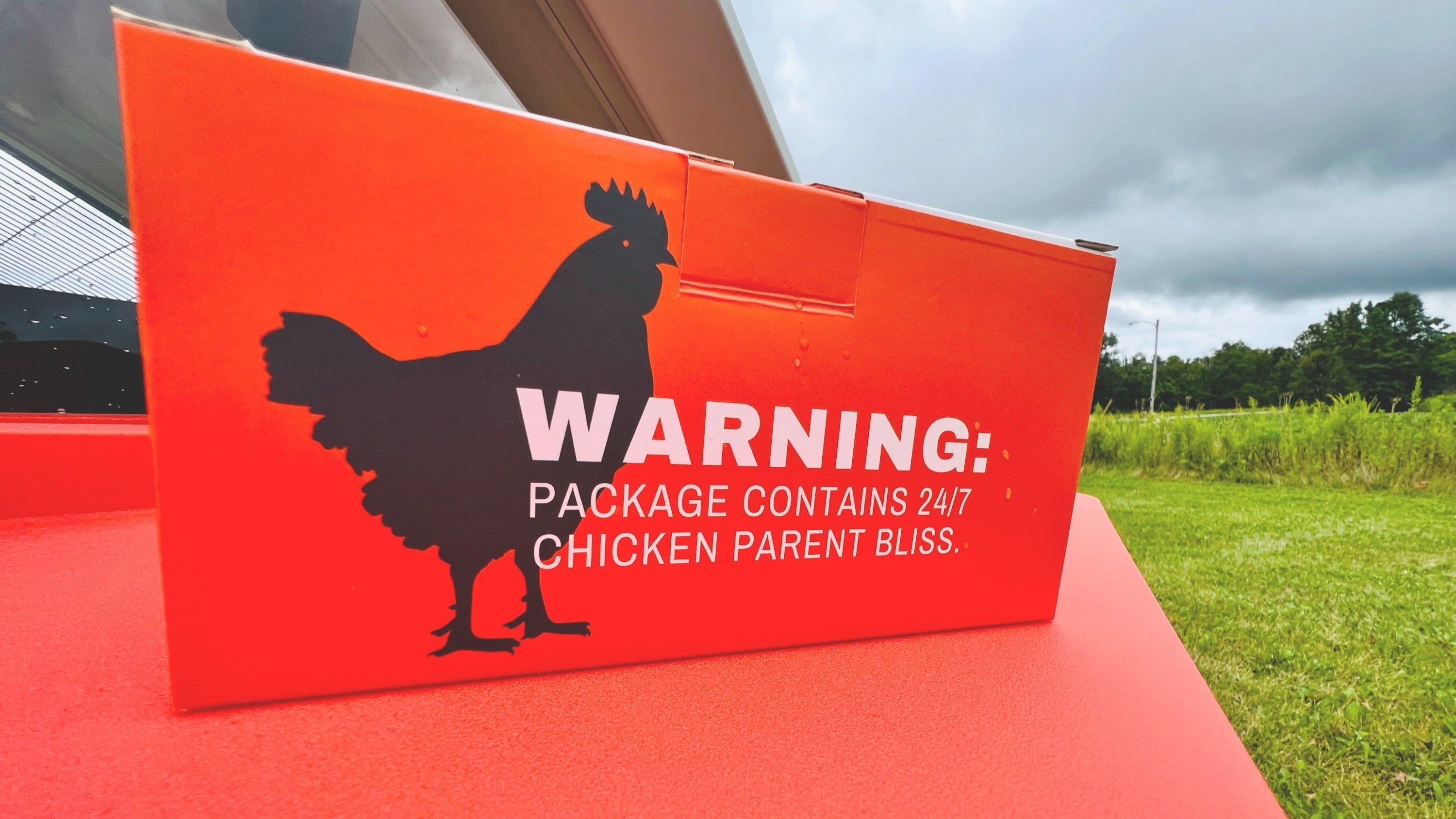 Chicken Coop Smart Camera | App & WiFi Control