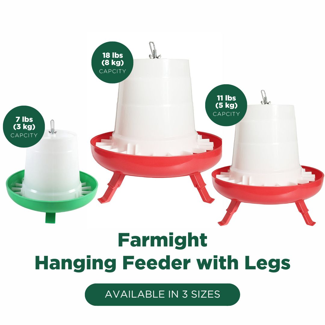 My Pet Chicken Farmight Open Top Hanging Feeder with Legs, 2 colors, 3 sizes bundle of 3