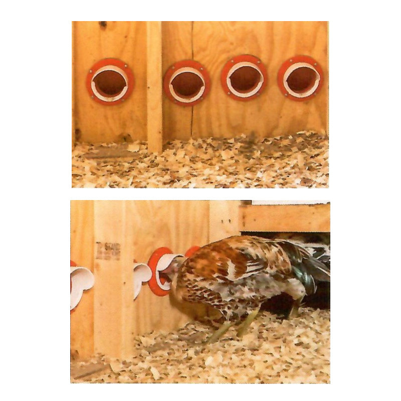 Hen House Collection Feed Bins