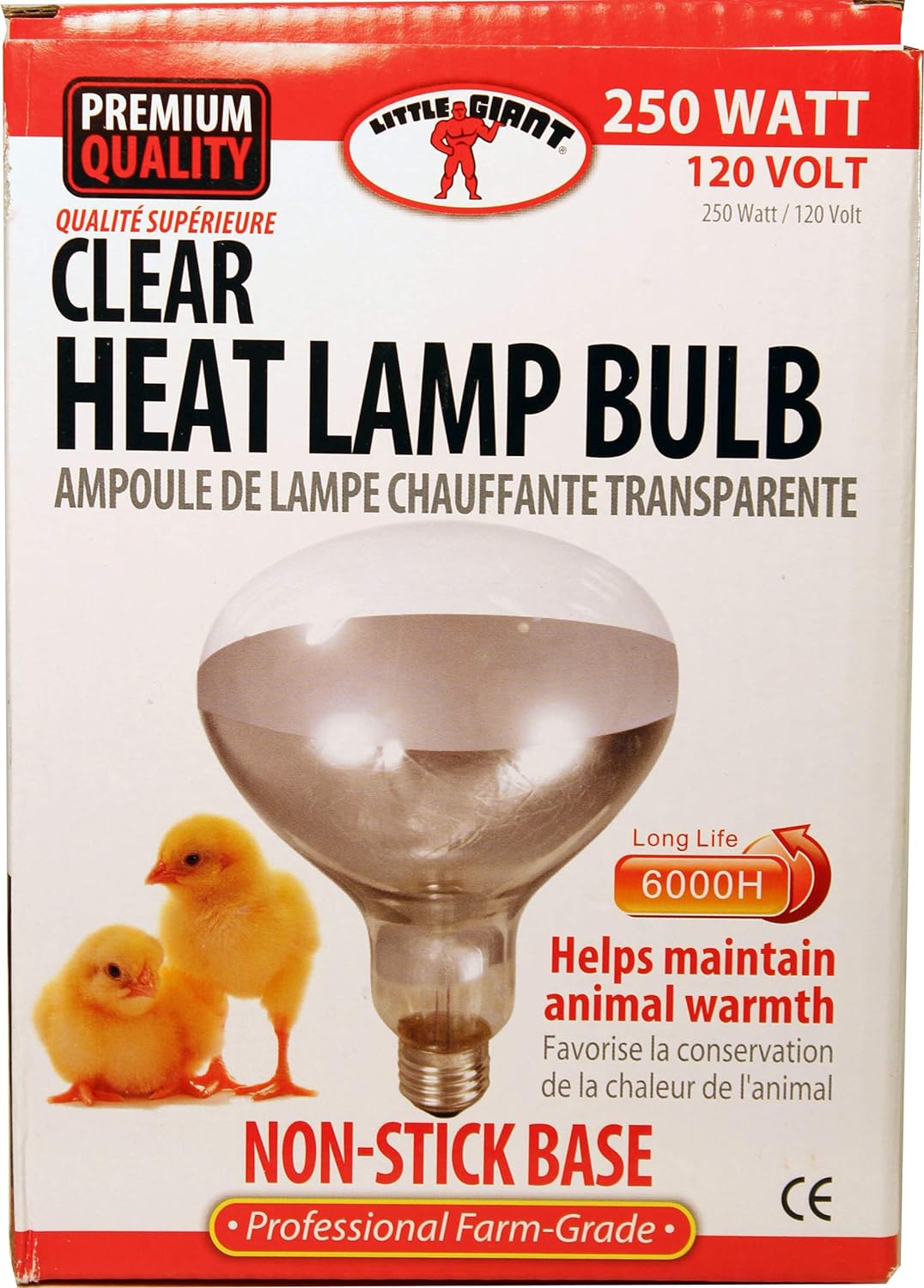 Little Giant 250-Watt Clear Heat Lamp Bulb  main image