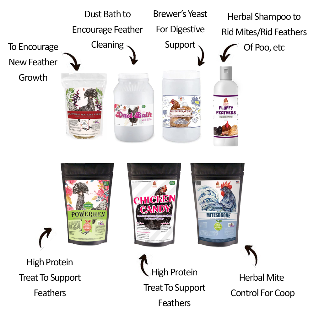 Pampered Chicken Mama Great Feathers Bundle: Bundle of 7 products so your hens have great, fluffy feathers! (14 pounds total)