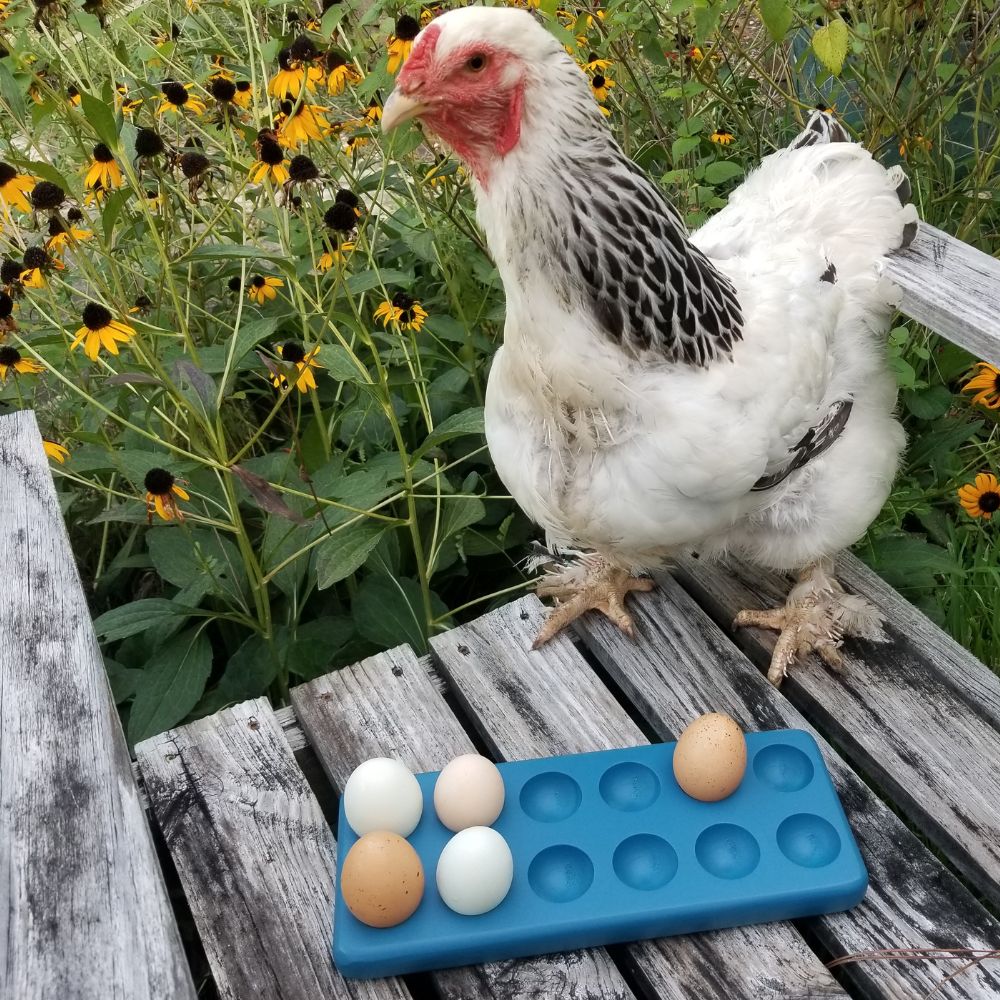 Henlay Wooden Egg Storage Tray
