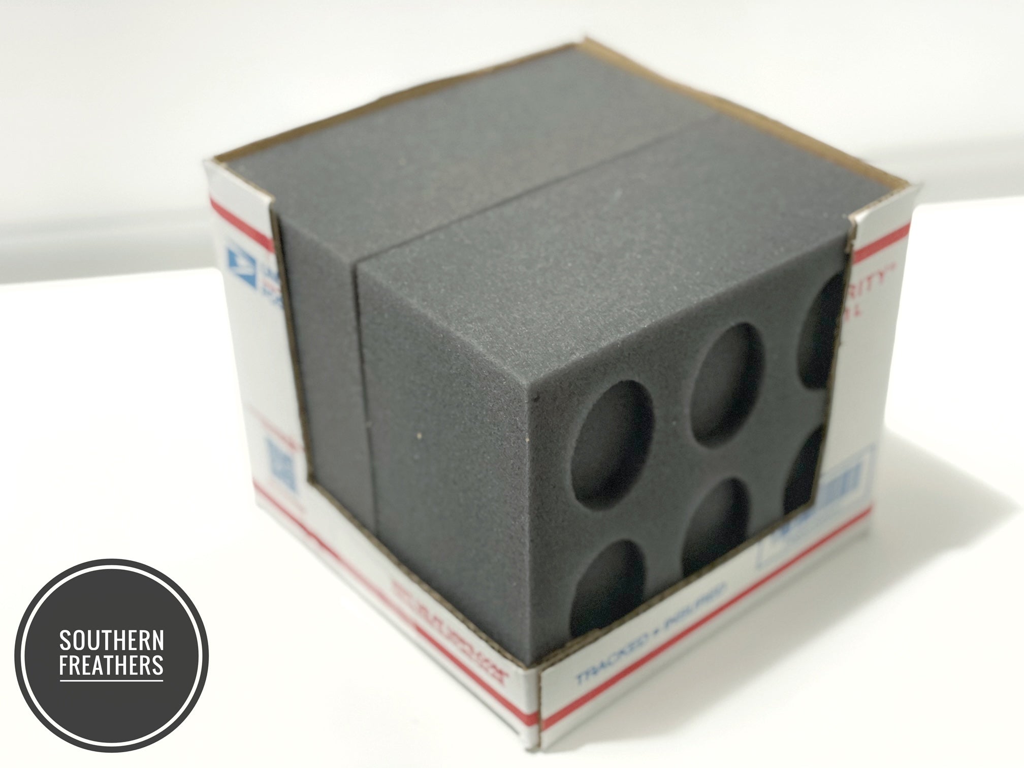 12 Egg Oblong Foam Small Kit (Standard)