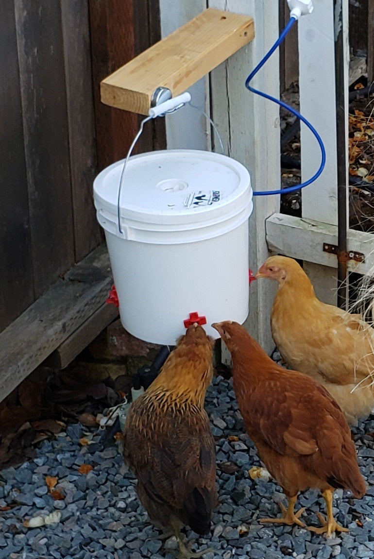 Farmer Brad 2 Gallon Automatic Chicken Waterer