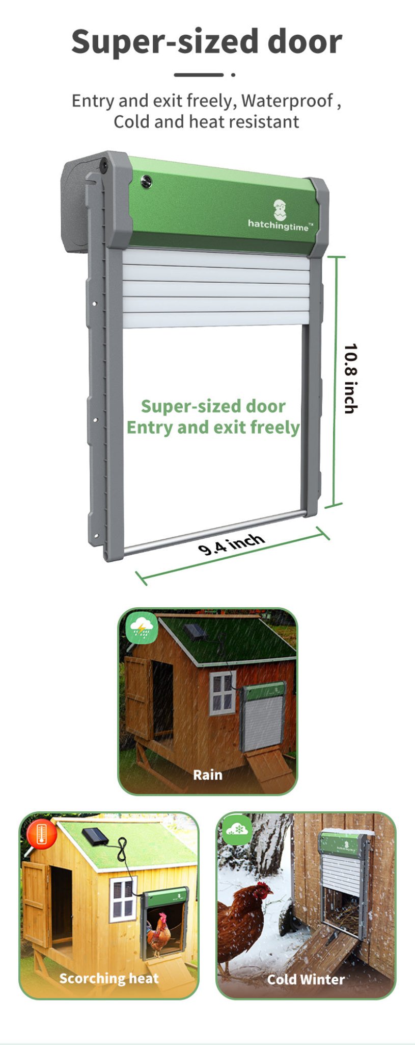 Hatching Time Solar Powered Automatic Chicken Coop Door with Remote