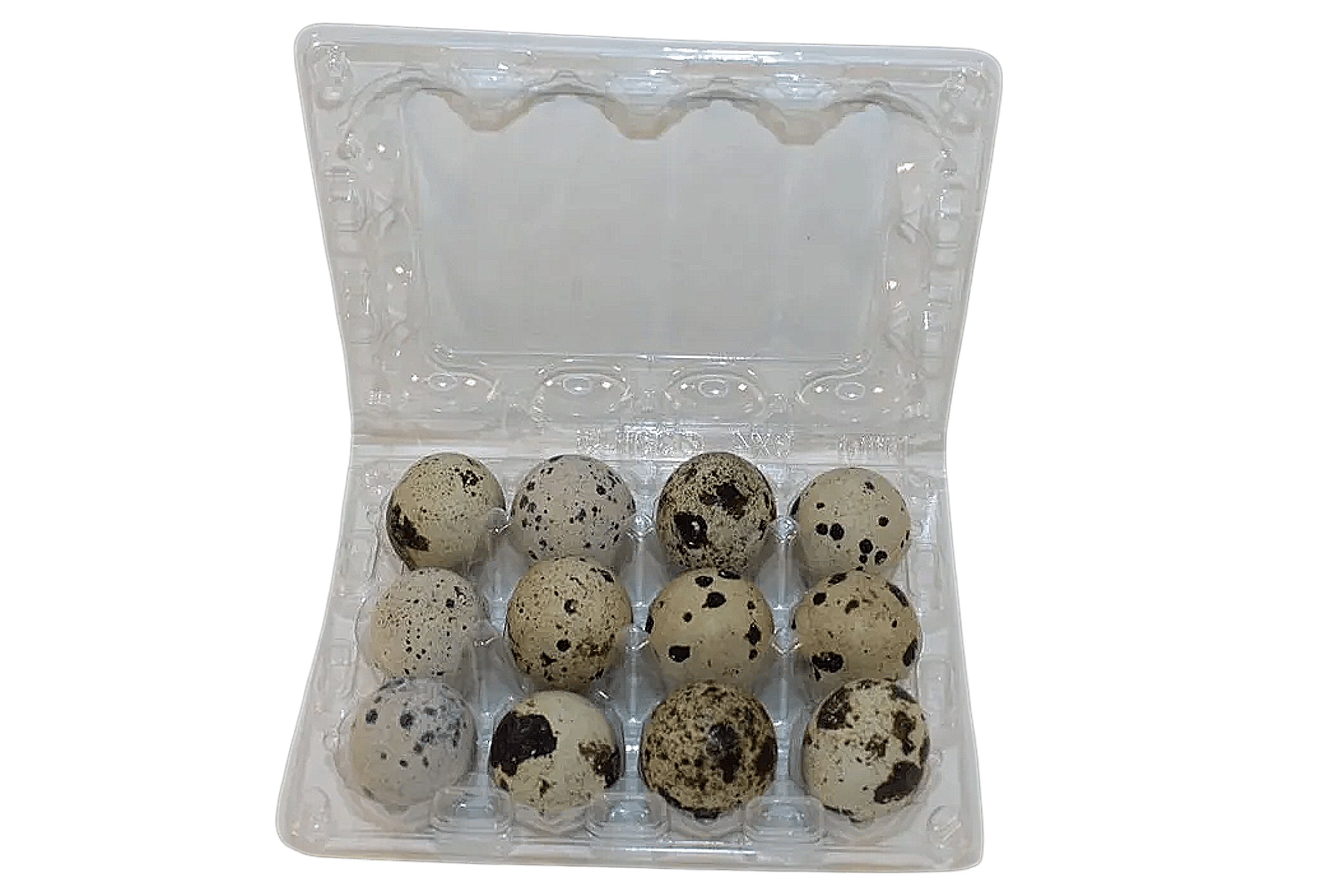 12-cell Extra-Large Jumbo Quail/Pigeon Egg Cartons (3x4)
