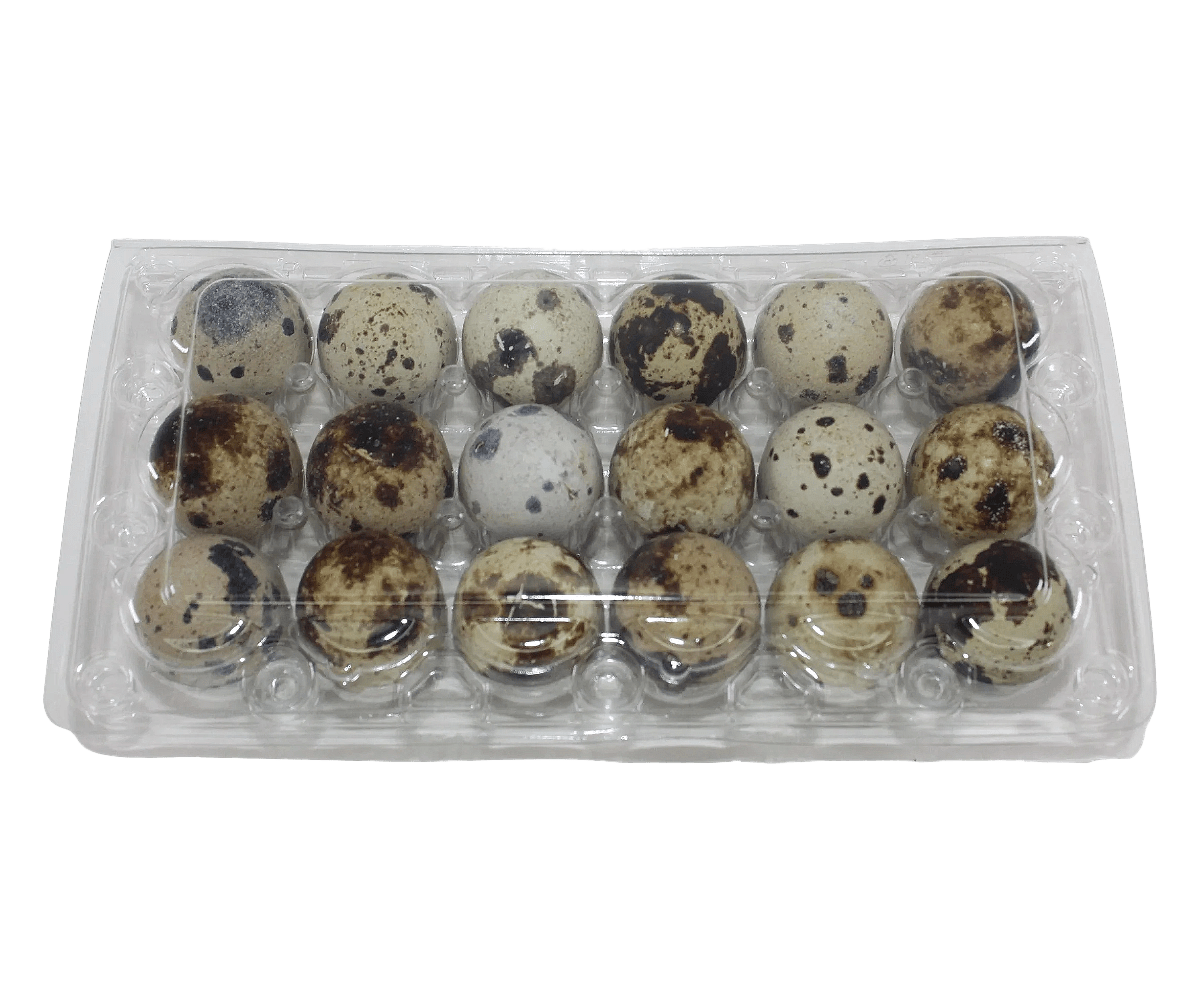 18-cell Jumbo Quail Egg Cartons (3x6)